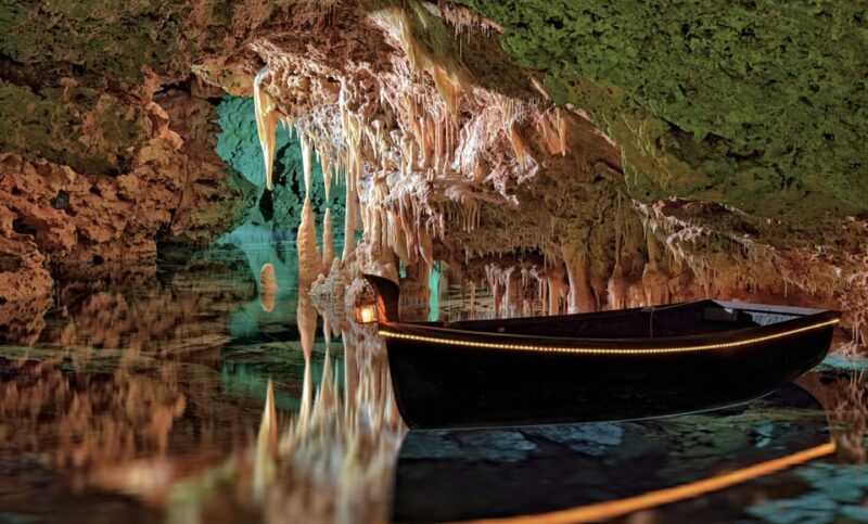 From Palma de Mallorca: Dinosaurland tour - Why This Tour Offers Good Value