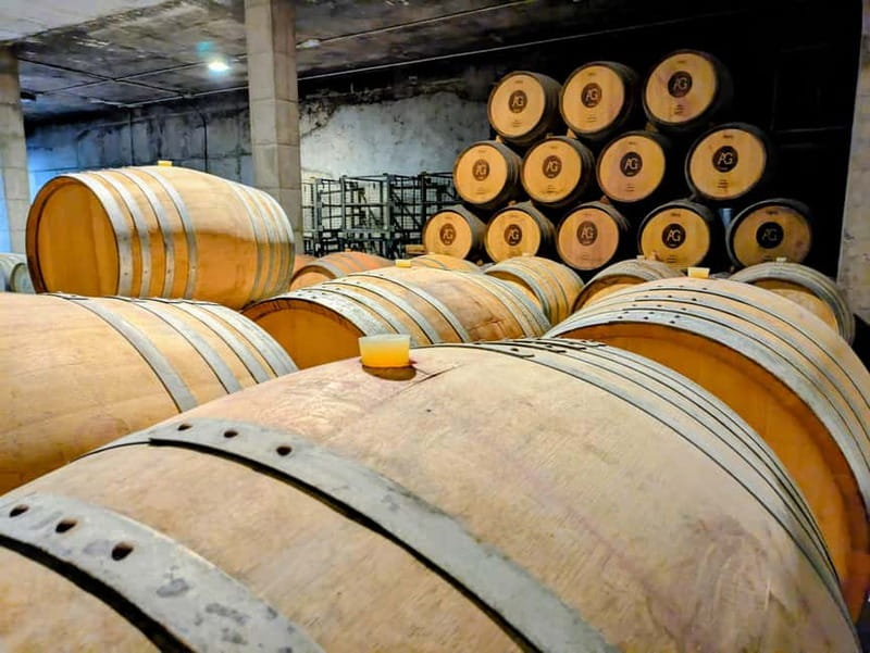 From Palma de Mallorca: Private Wine and Local Flavors Tour - Exploring a Historic Mallorca Winery