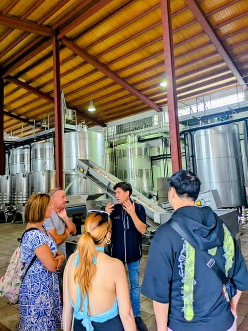 From Palma de Mallorca: Private Wine and Local Flavors Tour - Discovering the Binissalem Denomination of Origin