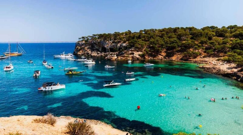 From Palma: Portal Vells Beach and Cave SUP & Snorkel Tour - Key Points