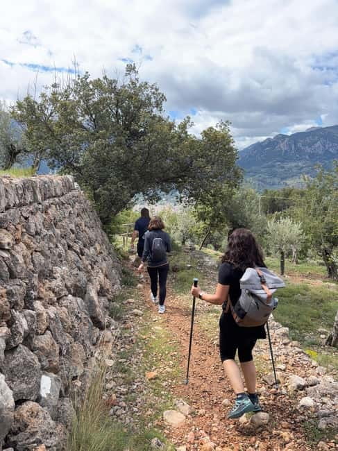 From Palma: Sierra de Tramuntana Hiking with small Picnic - Starting from Palma at Plaça dEspanya for a Scenic Mountain Escape