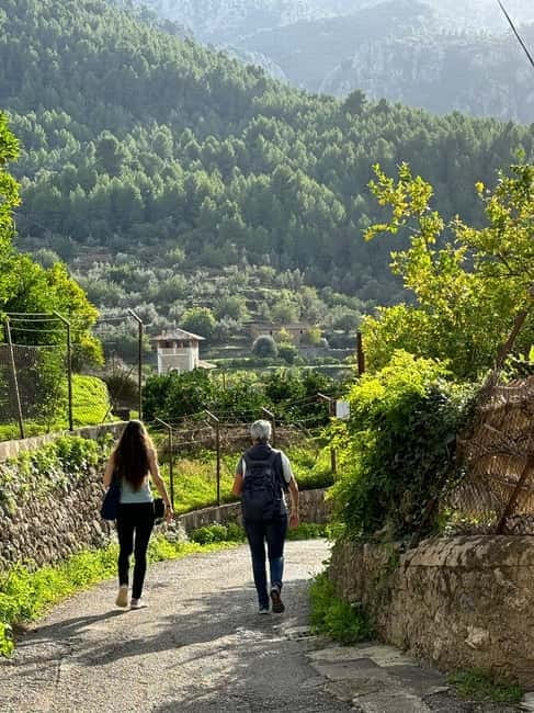 From Palma: Sierra de Tramuntana Hiking with small Picnic - Scenic Views and Wildlife Encounters in the Mountains