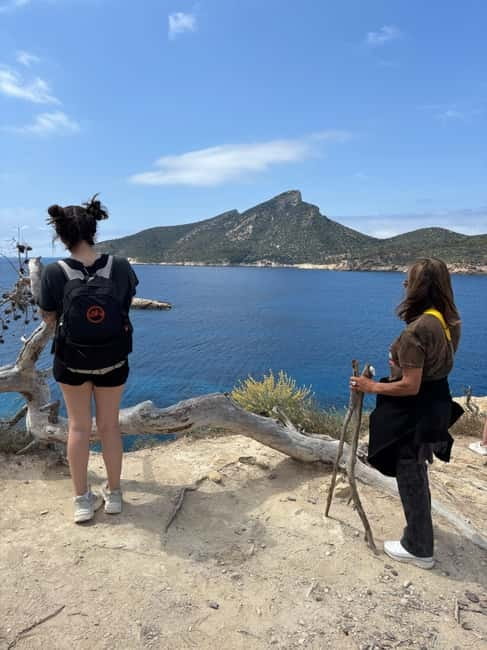 From Palma: Sierra de Tramuntana Hiking with small Picnic - The Picnicking Experience and Local Flavors
