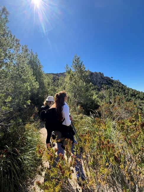 From Palma: Sierra de Tramuntana Hiking with small Picnic - Booking, Cancellation, and Payment Options