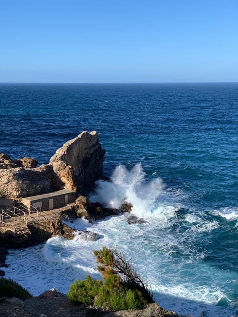 From Palma: Sierra de Tramuntana Hiking with small Picnic - Why This Tour Stands Out in Mallorca