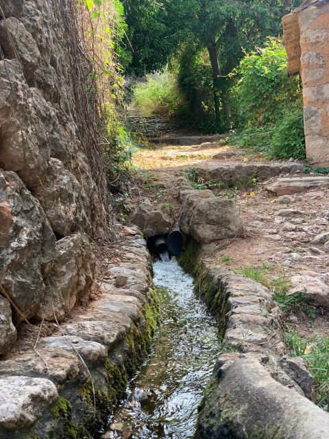 From Palma: Soller valley walk and picnic in orange farm - The Route: Hiking the Dry Stone Route and Discovering Heritage