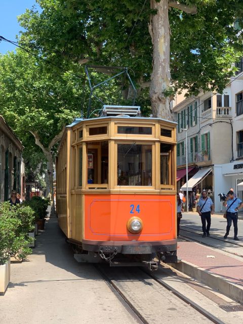 From Palma: Soller valley walk and picnic in orange farm - Convenient Meeting Points and Small Group Experience