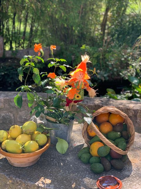 From Palma: Soller valley walk and picnic in orange farm - Booking Flexibility and Cancellation Policy