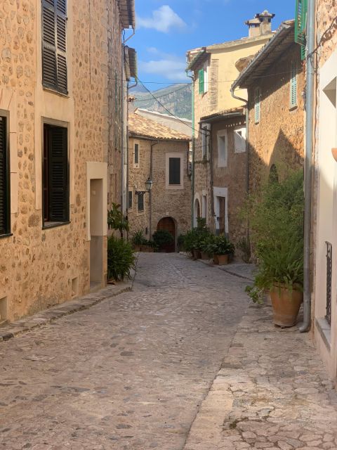 From Palma: Soller valley walk and picnic in orange farm - Why This Tour Stands Out in Mallorca