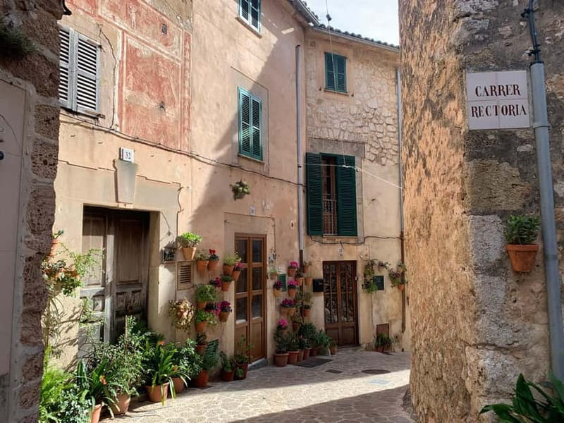 From Palma: Valldemossa Tour and Mountain Viewpoint Hike - Easy Hike Through Olive Farms and Heritage Sites