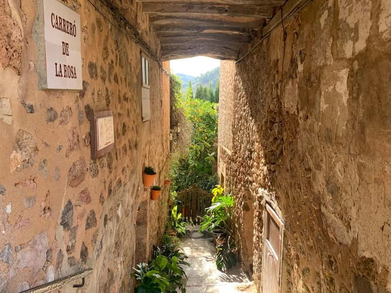 From Palma: Valldemossa Tour and Mountain Viewpoint Hike - Small Group Dynamics and Guided Experience