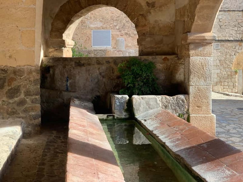 From Palma: Valldemossa Tour and Mountain Viewpoint Hike - Practicalities: What to Bring and Cancellation Policy