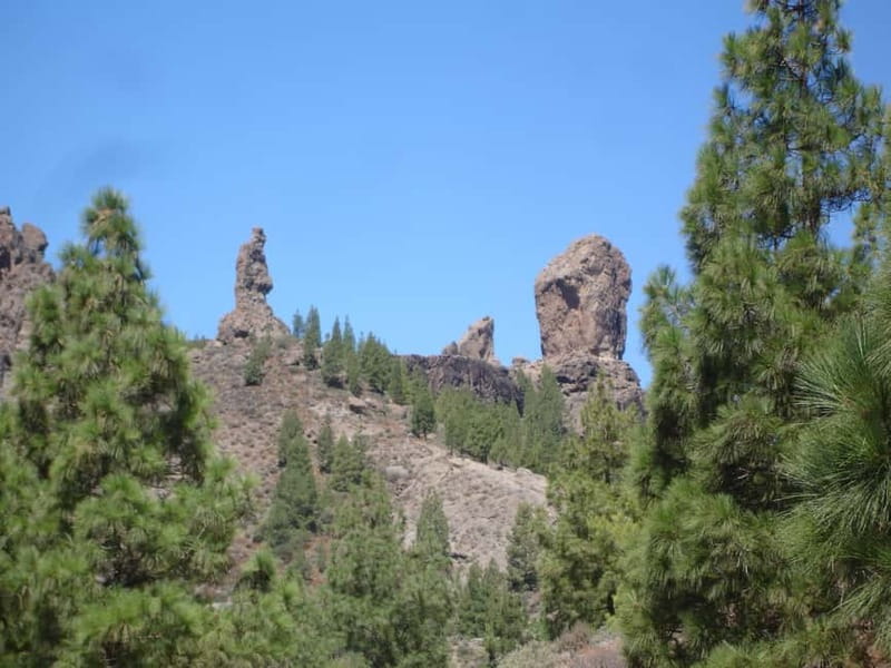From Palmas: Pico de las Nieves & Roque Nublo Full-Day Trip - Visiting Cross of Tejeda and Tasting Local Canarian Products