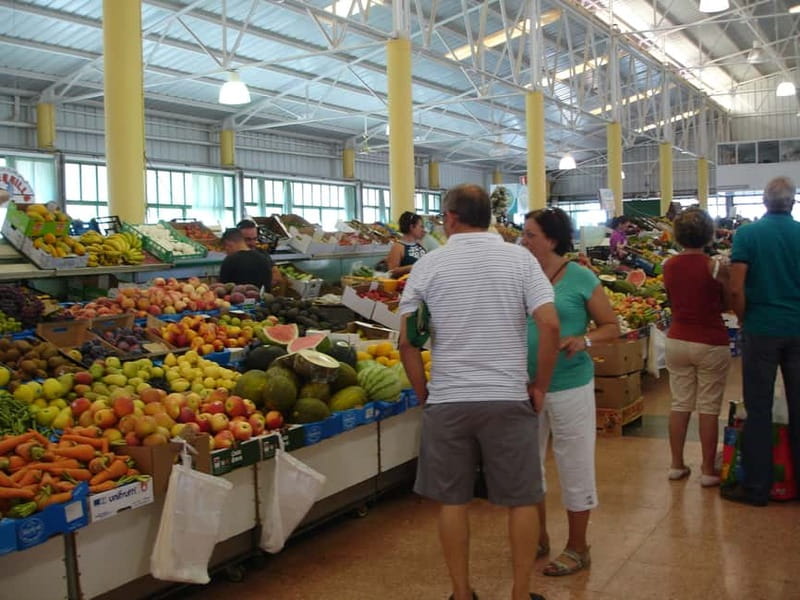 From Palmas: Pico de las Nieves & Roque Nublo Full-Day Trip - Scenic Drives and Stops for Panoramic Views