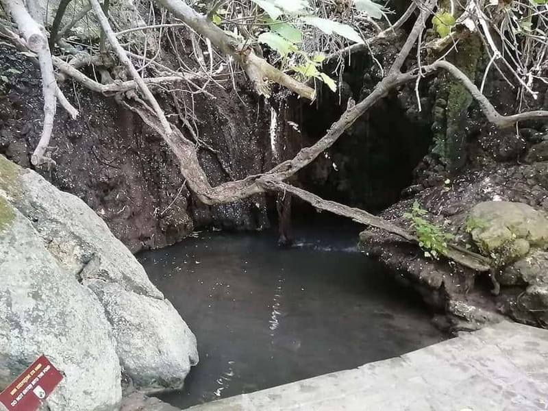 From Paphos: Baths of Aphrodite, Latchi & Blue Lagoon Cruise - What to Expect from the Tour Guide and Overall Logistics