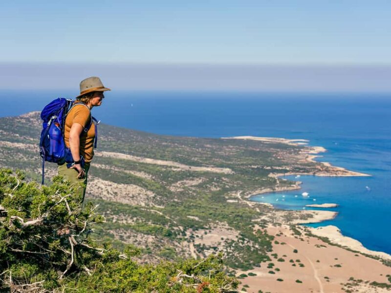 From Paphos or Limassol: Akamas National Park Jeep Safari - Exploring Cyprus’ Natural Landscapes