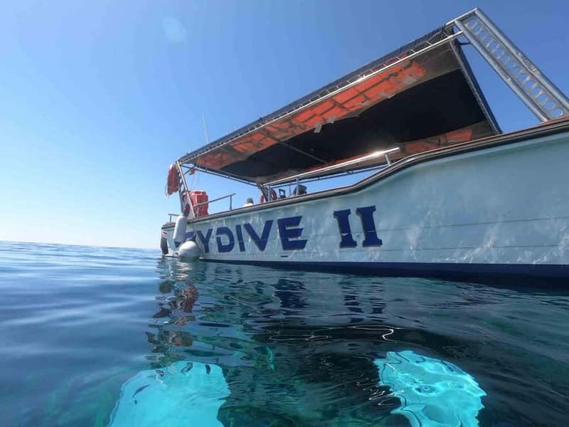 FROM PAPHOS: Snorkeling at Moulia Rocks (boat) - Exploring Moulia Rocks and Marine Life Encounters