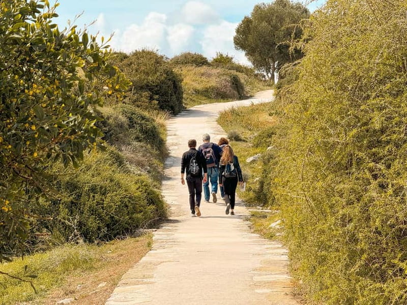 From Paphos: Trip to Limassol with Kourion & Kolossi Castle - Limassol’s Top Highlights Extracted from the Tour