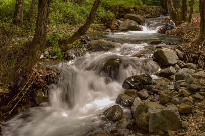 From Paphos: Troodos Jeep Safari - Waterfalls and Natural Wonders