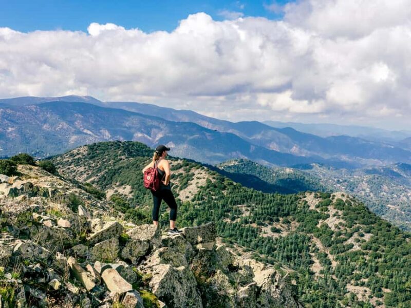 From Paphos: Troodos Jeep Safari - Pricing and Booking Flexibility