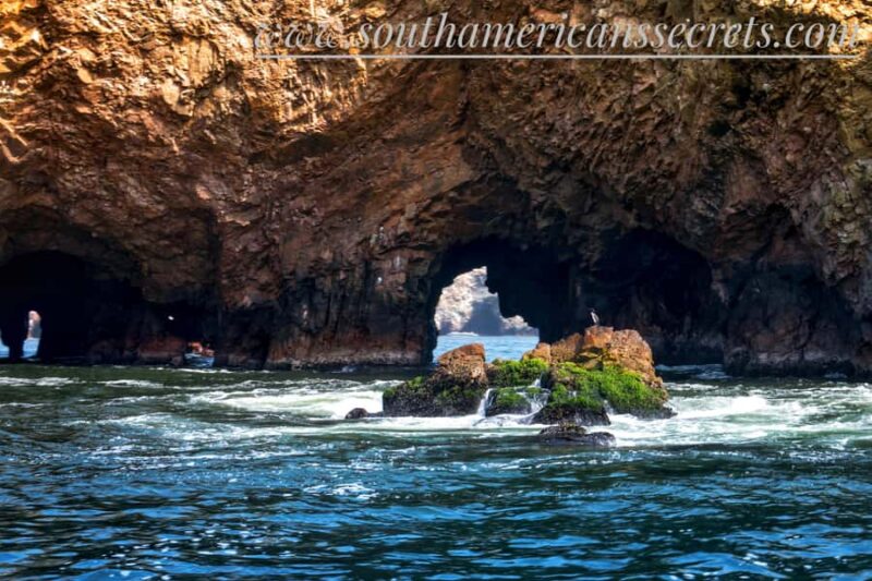 From Paracas: Ballestas Islands tour all Inclusive - Key Points