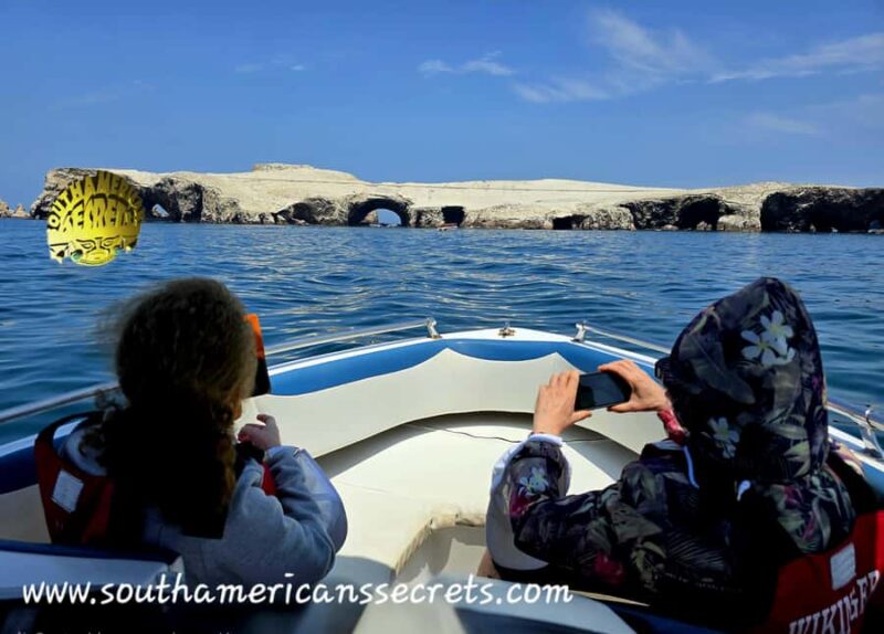 From Paracas: Ballestas Islands tour all Inclusive - The Marine Environment and Rock Formations