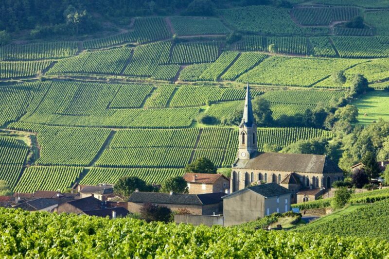 From Paris: Burgundy Region Winery Tour with Tastings - Who Will Enjoy This Burgundy Tour Most