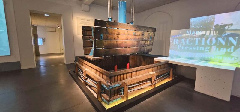 From Paris: Champagne Cellars and Vineyards Tour and Tasting - Discover the Best of Champagne in a Day from Paris