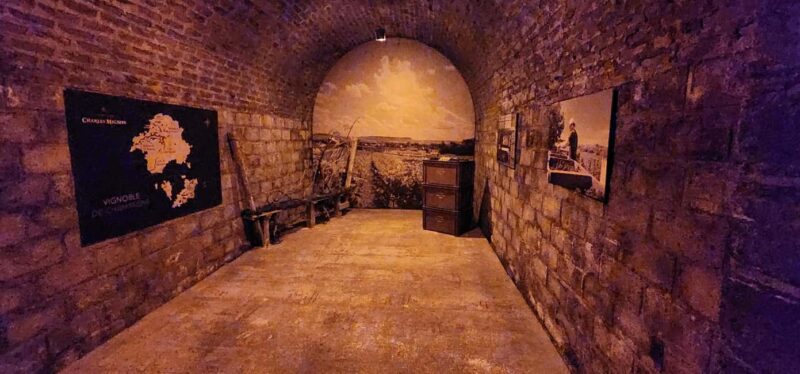 From Paris: Champagne Cellars and Vineyards Tour and Tasting - Who Would Enjoy This Champagne Day Trip?