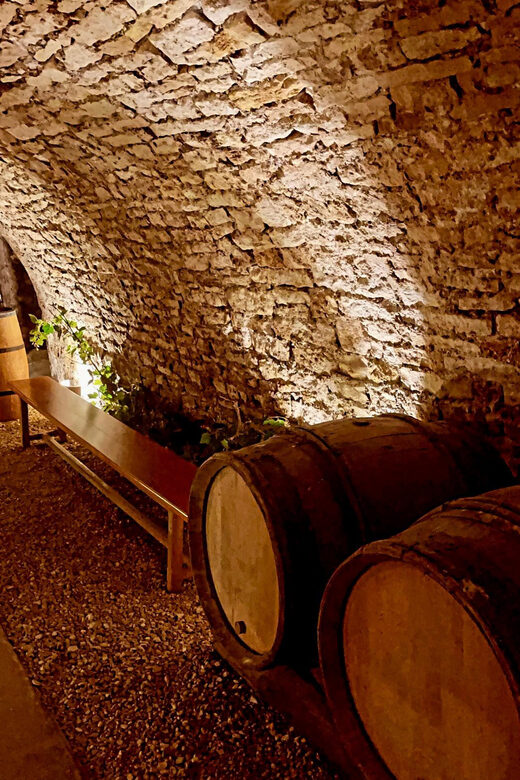 From Paris: Champagne, gastronomy and culture - Key Points