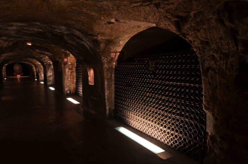 From Paris: Prestige Champagne Tour and Tastings - Champagne Vineyards and Boutique Wineries