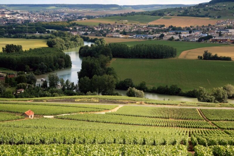 From Paris: Private Champagne Tour, Tastings at Moet&Chandon - Pacing and Timing of the Tour