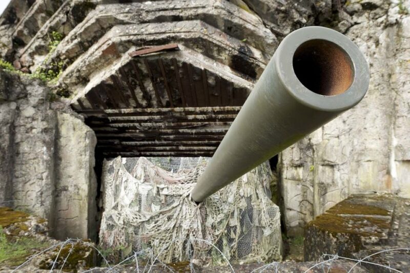 From Paris: Private Normandy D-Day Beaches Tour - Discover Normandy’s D-Day Landings in a Comfortable Private Trip