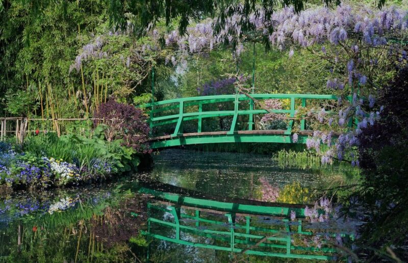 From Paris: Private Trip to Giverny, Monet's House & Museum - Real-World Feedback and Guide Quality