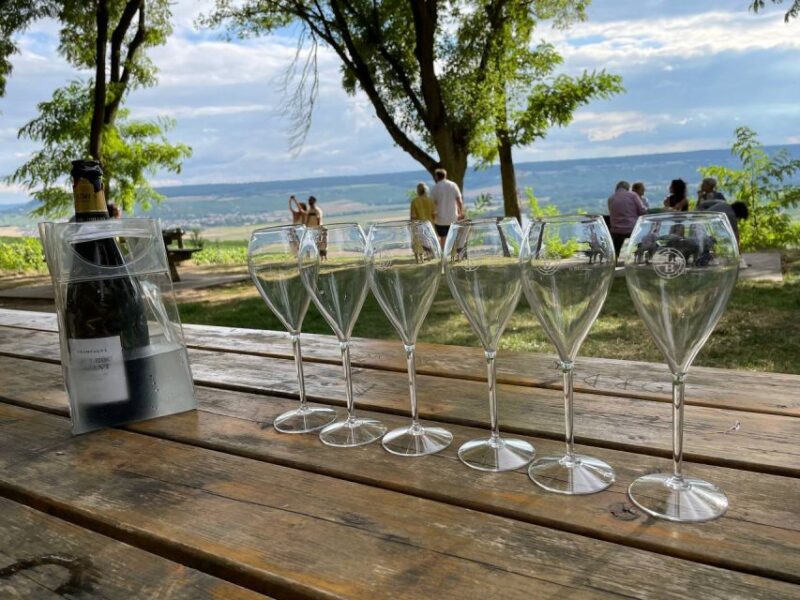 From Paris: Reims and Champagne Tasting Full-Day Tour - Scenic Vineyard Visits and Blind Tastings