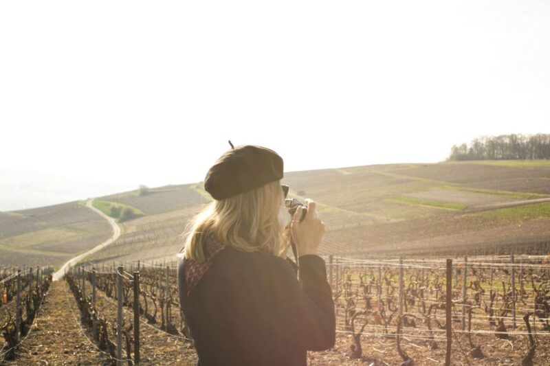 From Paris: Reims and Champagne Tasting Full-Day Tour - The Experience Guides and Review Highlights