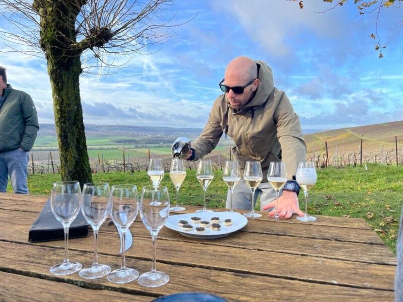 From Paris: Reims and Champagne Tasting Full-Day Tour - Who Will Appreciate This Tour Most
