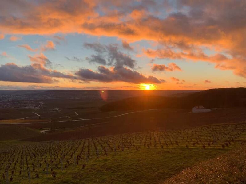 From Paris: Reims Cathedral, Champagne Cellar, and Tasting - Touring Champagne Cellars with a Professional Guide