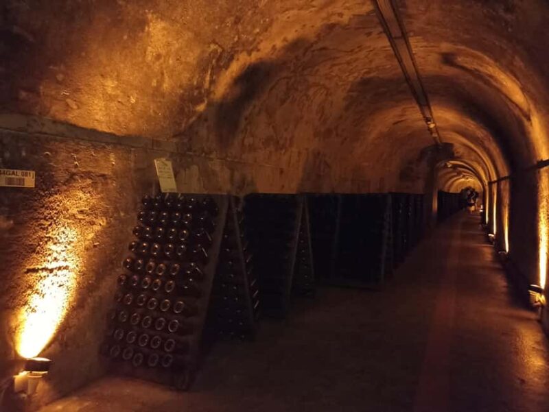 From Paris: Reims Cathedral, Champagne Cellar, and Tasting - Why This Tour Stands Out