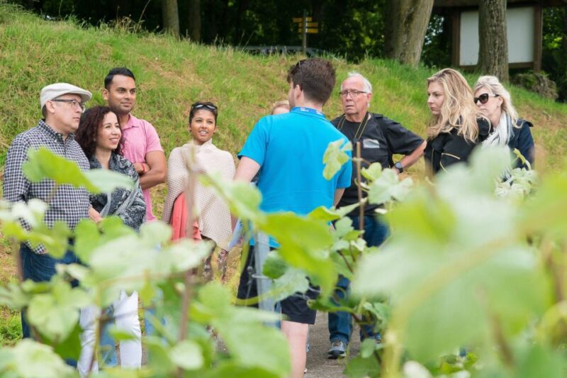 From Paris: Small-Group Champagne Day Trip with Six Tastings - Why This Tour Offers Great Value