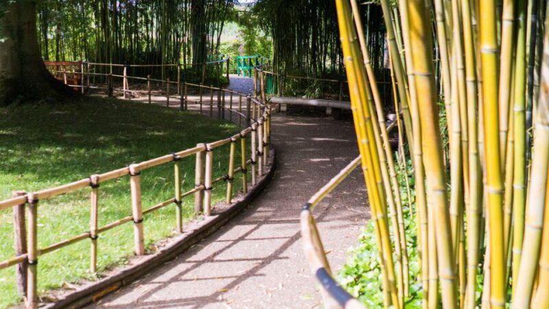 From Paris: Versailles and Giverny Full-Day Trip - Potential Drawbacks and Considerations