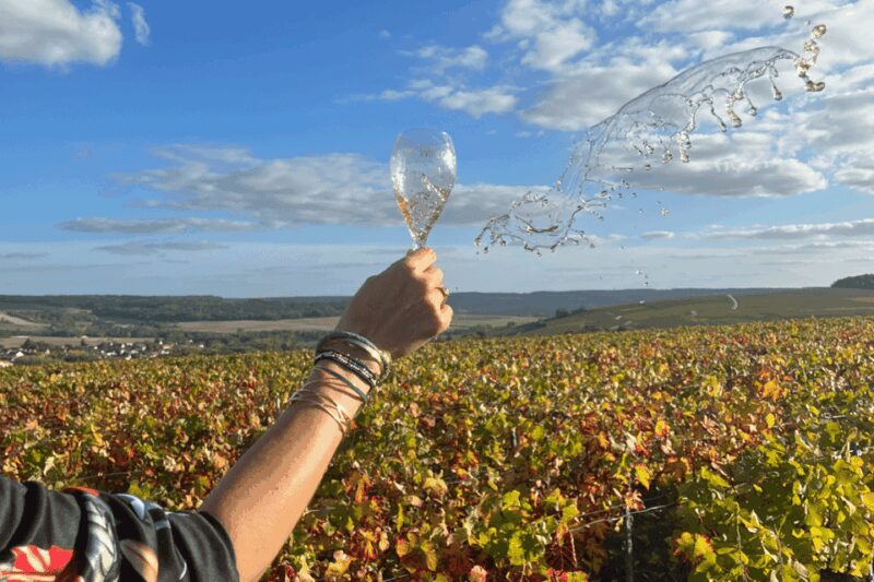 From Paris: Wine Day trip to SANCERRE w 10 Tastings & Lunch - Final Thoughts on the Sancerre Day Trip