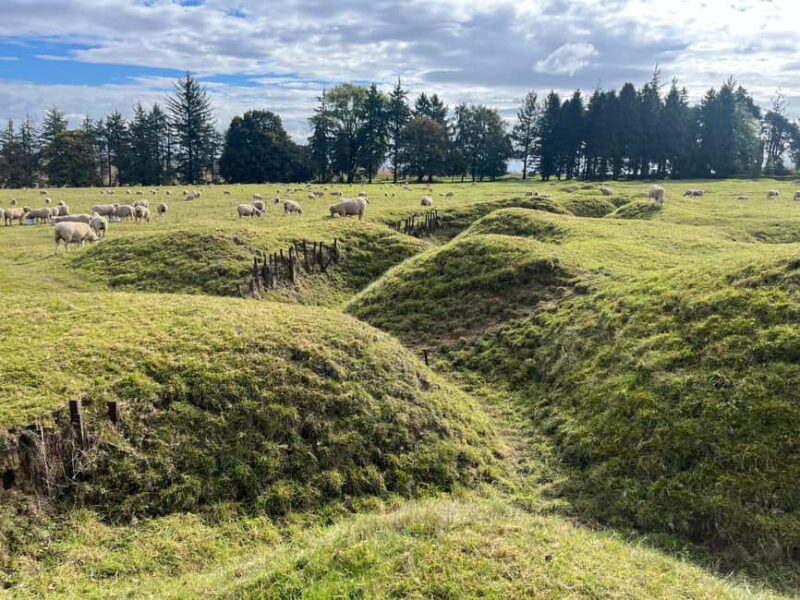 From Paris : WWI Somme Battlefields with Licensed Guide - Explore WWI Battlefields with an Expert Guide