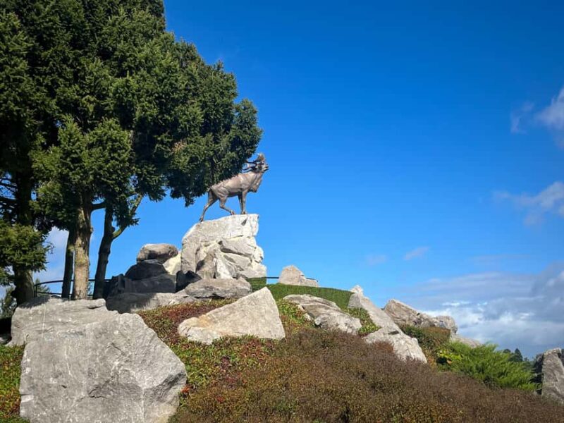 From Paris : WWI Somme Battlefields with Licensed Guide - Visiting the Australian War Memorial and Sir John Monash Centre