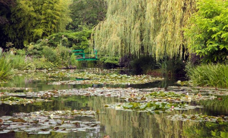 From Paris:Visit of Monet's house and its gardens in Giverny - Key Points
