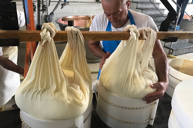 From Parma: Parmigiano,Prosciutto and winery Tour and tasting - Parmigiano Reggiano Factory Visit in Beneceto