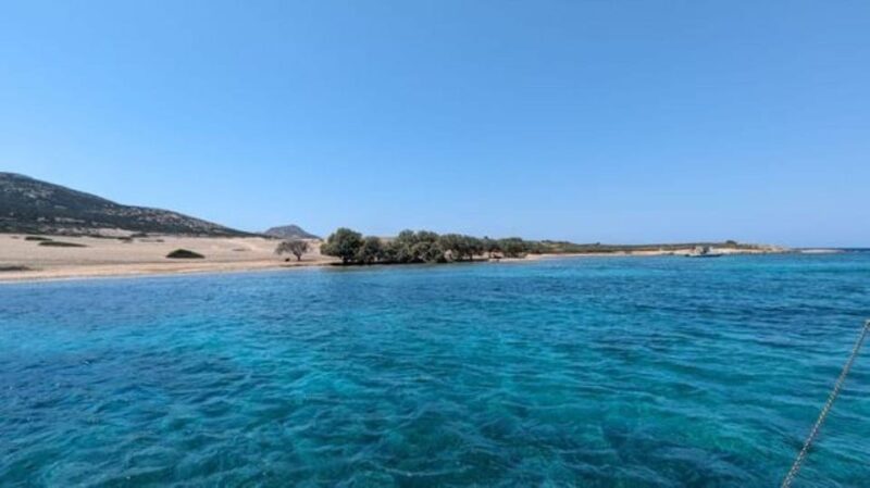 From Paros : Antiparos and Despotiko Full Day Cruise - Who Will Enjoy This Tour Most?