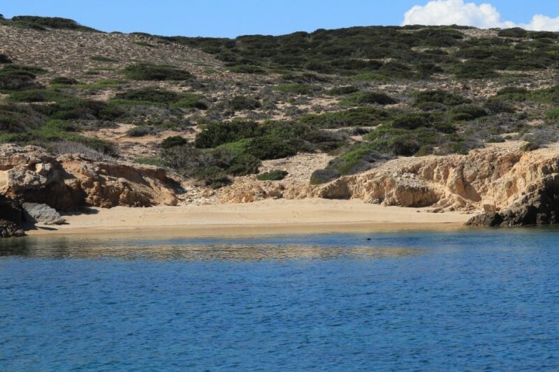 From Paros: Antiparos and Despotiko Full-Day Swim Cruise - Key Points