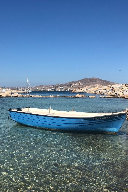 From Paros: Mykonos Full-Day Trip - Who Will Appreciate This Tour Most?