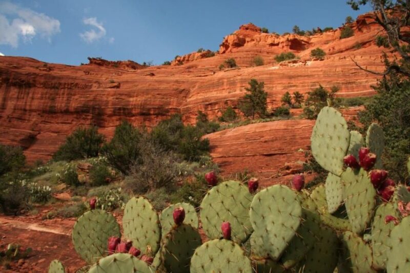From Phoenix: Full-Day Sedona Small-Group Tour - Explore Sedona’s Stunning Red Rocks and Native American Ruins in One Day